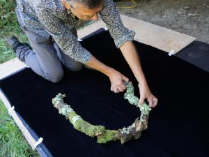 La Nature dans l'objectif