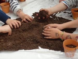 Les mains dans la terre