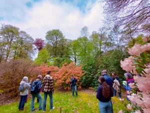 Les aventures du rhodo | Les dimanches Rhodo