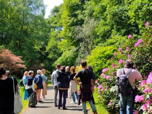 Visite botanique Le rhodo, une plante de terre de bruyère | Les dimanches Rhodo