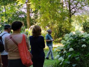 Les dimanches Hortensias # 1 Visite botanique