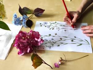 Les dimanches Hortensias # 2 | Atelier d'initiation au dessin botanique