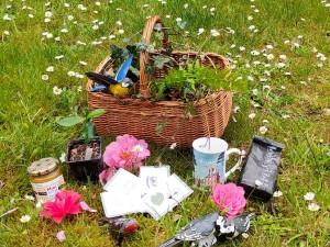 Un jardin SENSationnel !