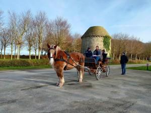 Balade en calèche