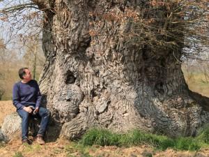 Les arbres sont-ils intelligents ?