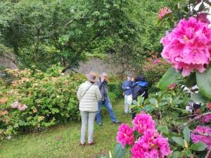 Le rhodo dans tous les sens