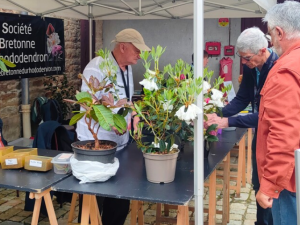 Espace conseils : la multiplication du rhodo - conférence 