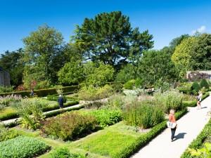 Les plantes, les yeux fermés
