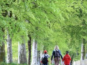 Sortir dehors à l'Abbaye du Relec