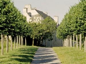 Arbres d'ici et d'ailleurs