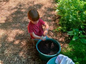 Une saison au jardin, le printemps