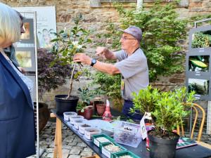 Point conseils : Maladies et ravageurs, problèmes de culture et solutions ?  I Les dimanches Rhodo