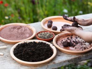 Bombes à biodiversité – bombe à oiseaux