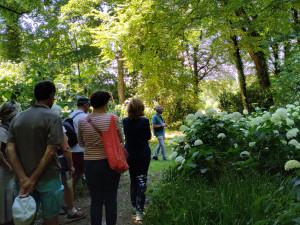 Visite botanique