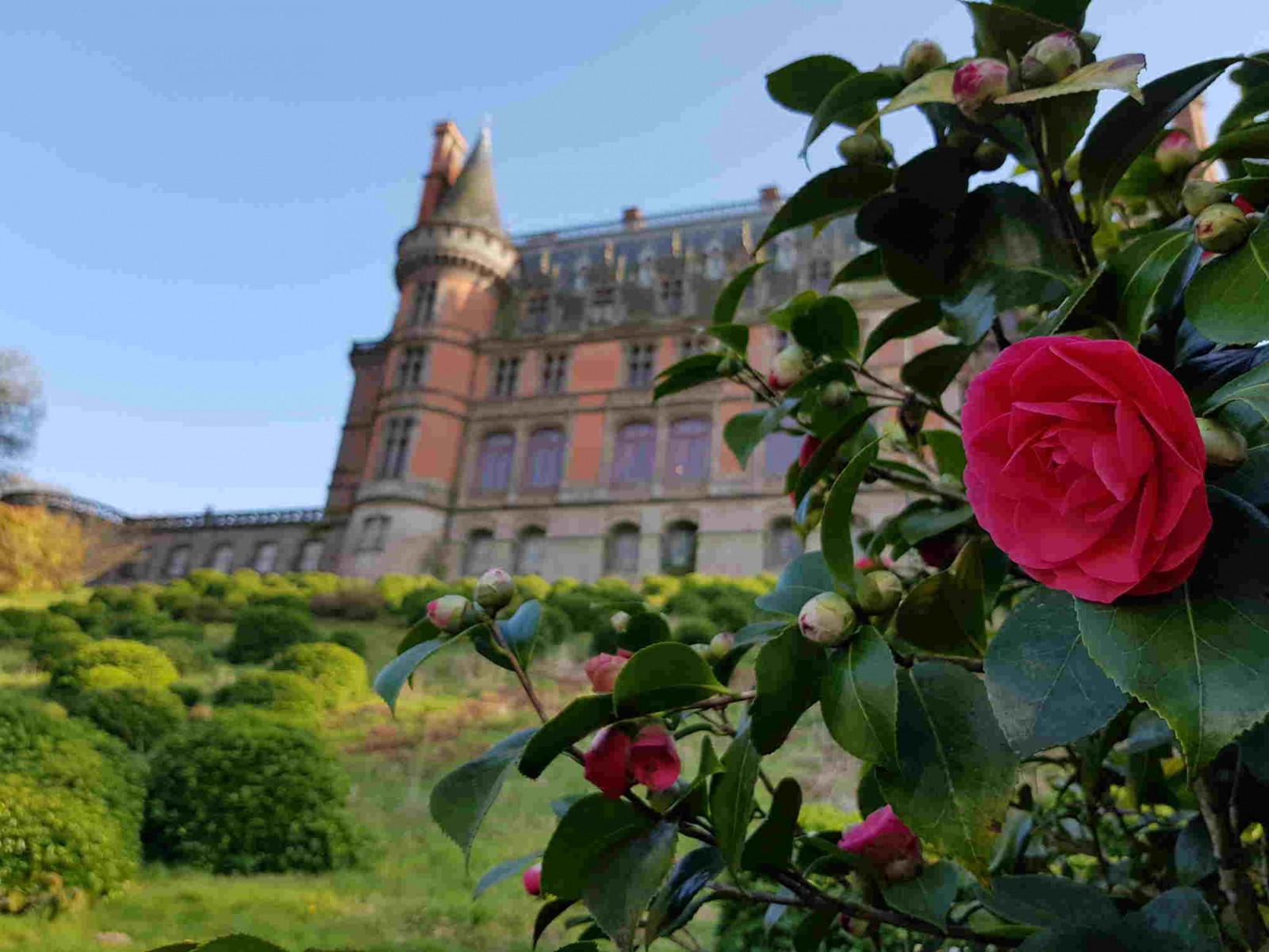 5 sites d'exception Daoulas L'Abbaye de Daoulas Chemins du