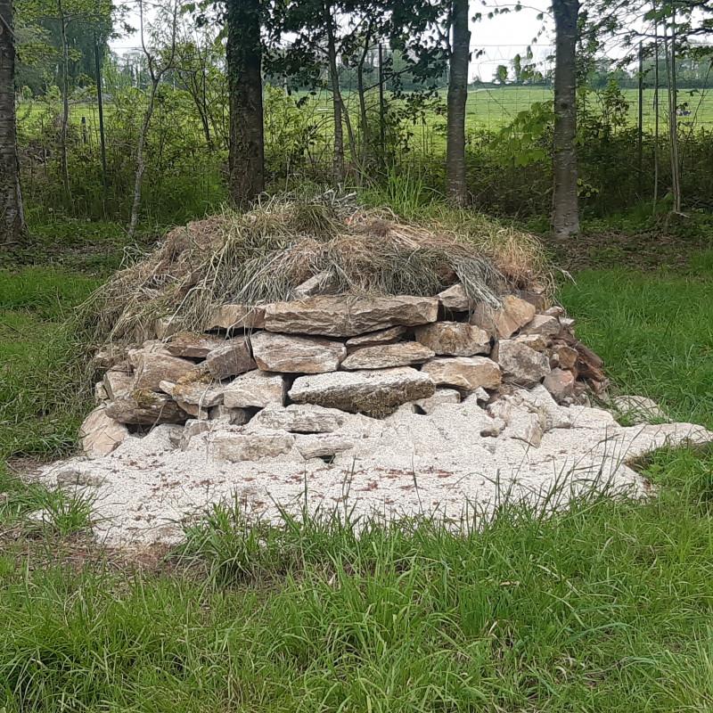 Deux étudiants construisent des hibernaculums au Manoir de Kernault pour protéger et inventorier les reptiles et amphibiens