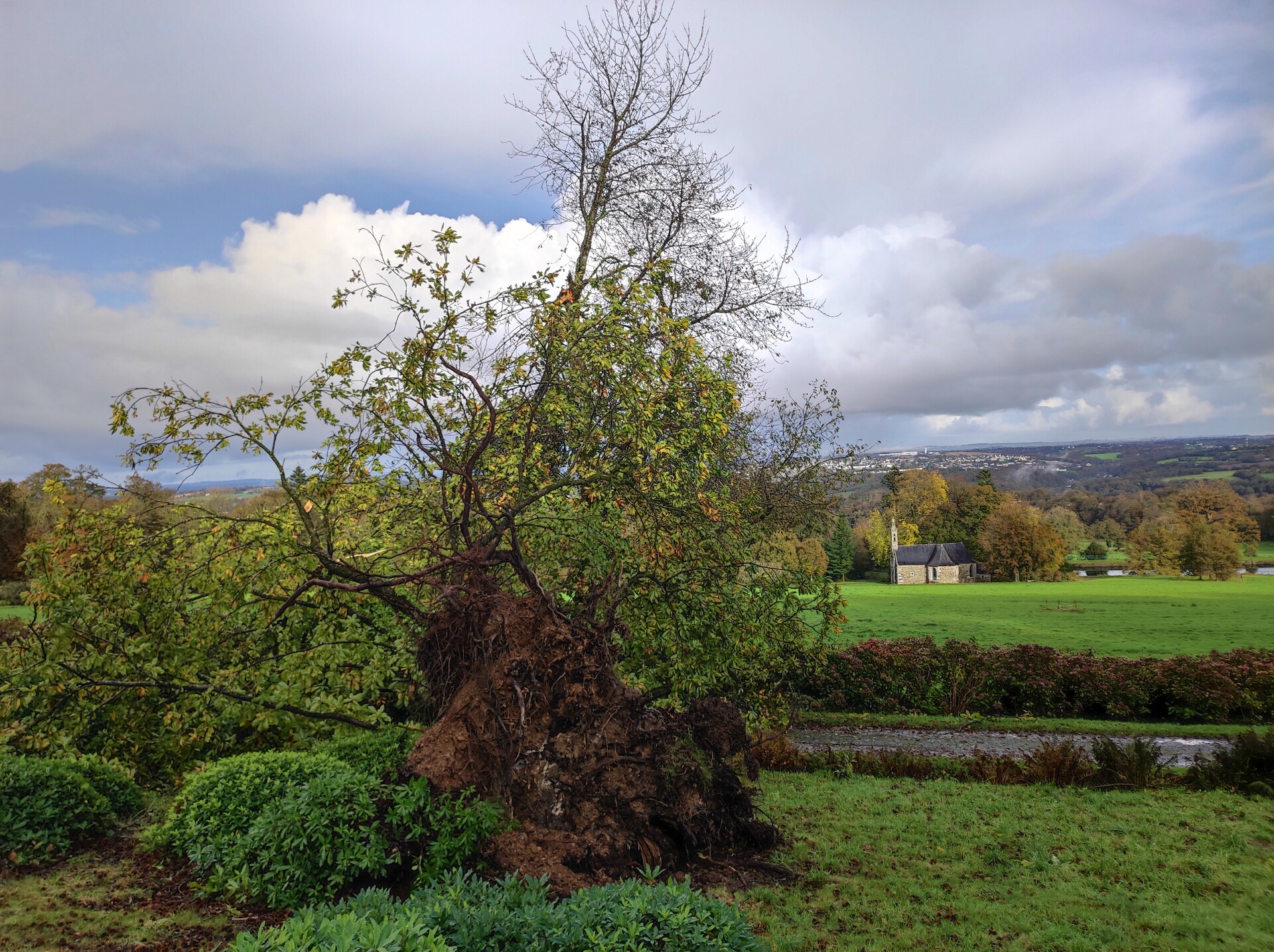 Domaine de Trévarez - Tempête Ciaran 5