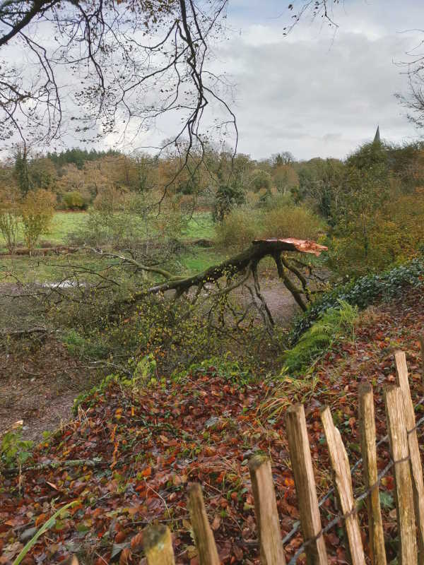 Abbaye du Relec - Tempête Ciaran