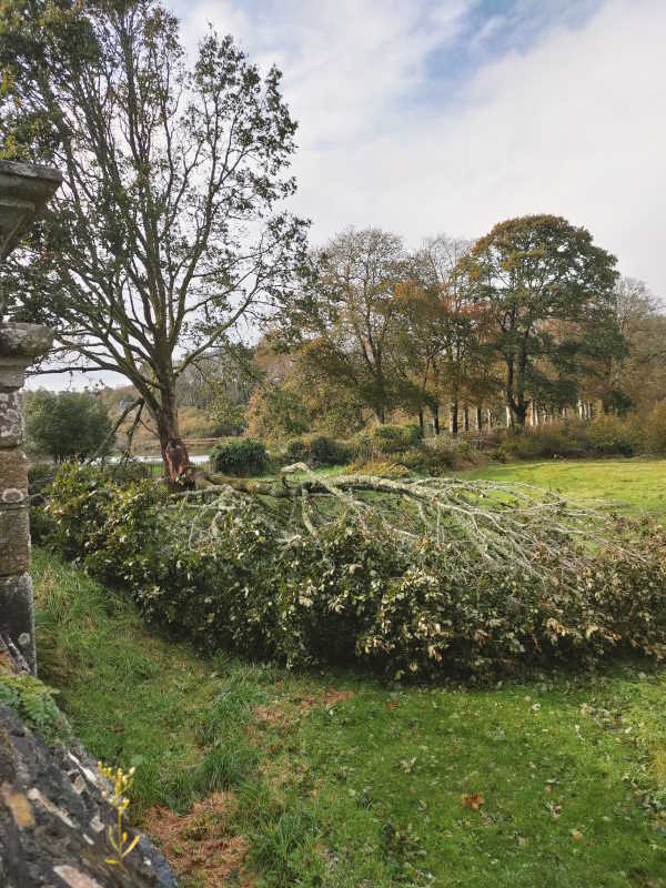 Abbaye du Relec - Tempête Ciaran 2