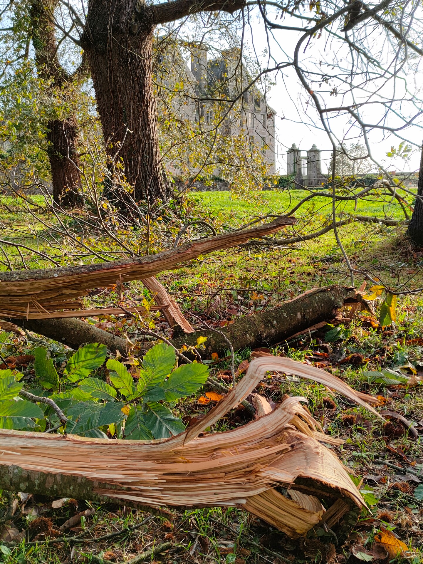 Château de Kerjean - Tempête Ciaran 2