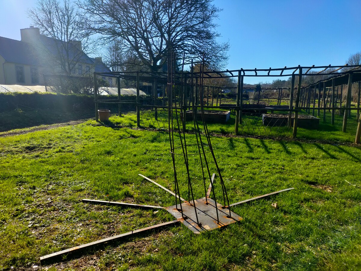 Abbaye du Relec - Projet Art'bre - Février - Structure de l'arbre