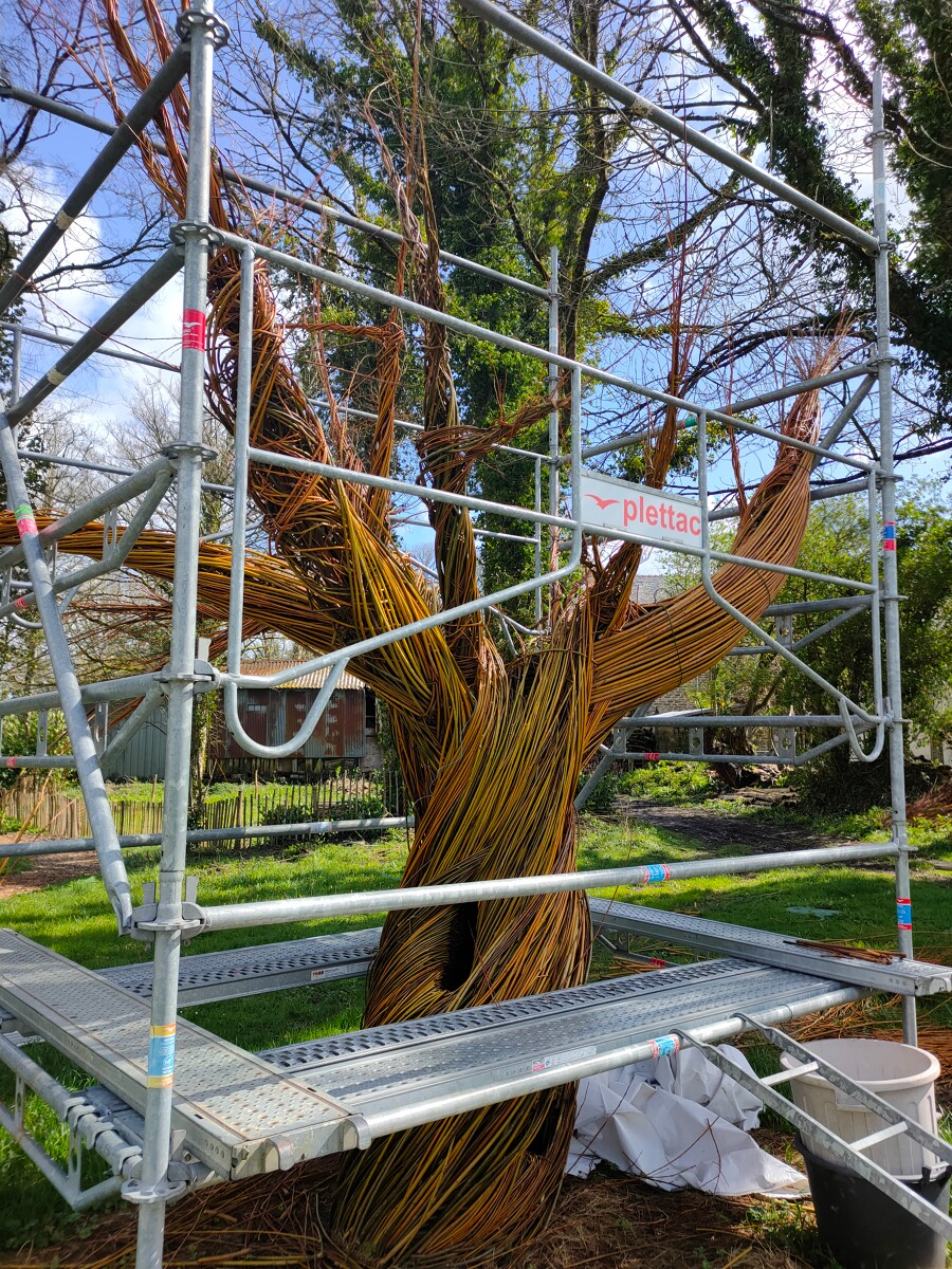 Abbaye du Relec - Projet Art'bre - Mi-avril - Fabrication de la structure de l'arbre