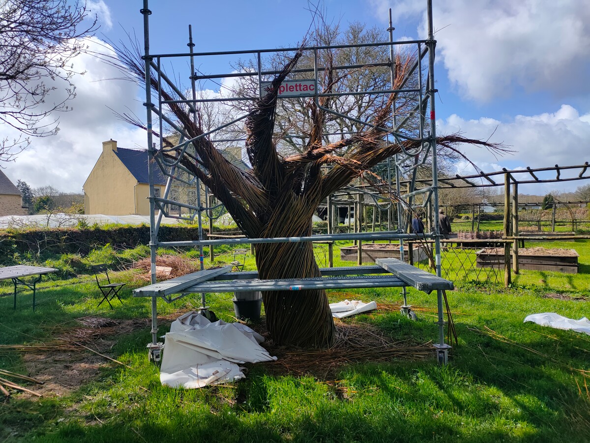 Abbaye du Relec - Projet Art'bre - Mi-avril - Fabrication de l'arbre