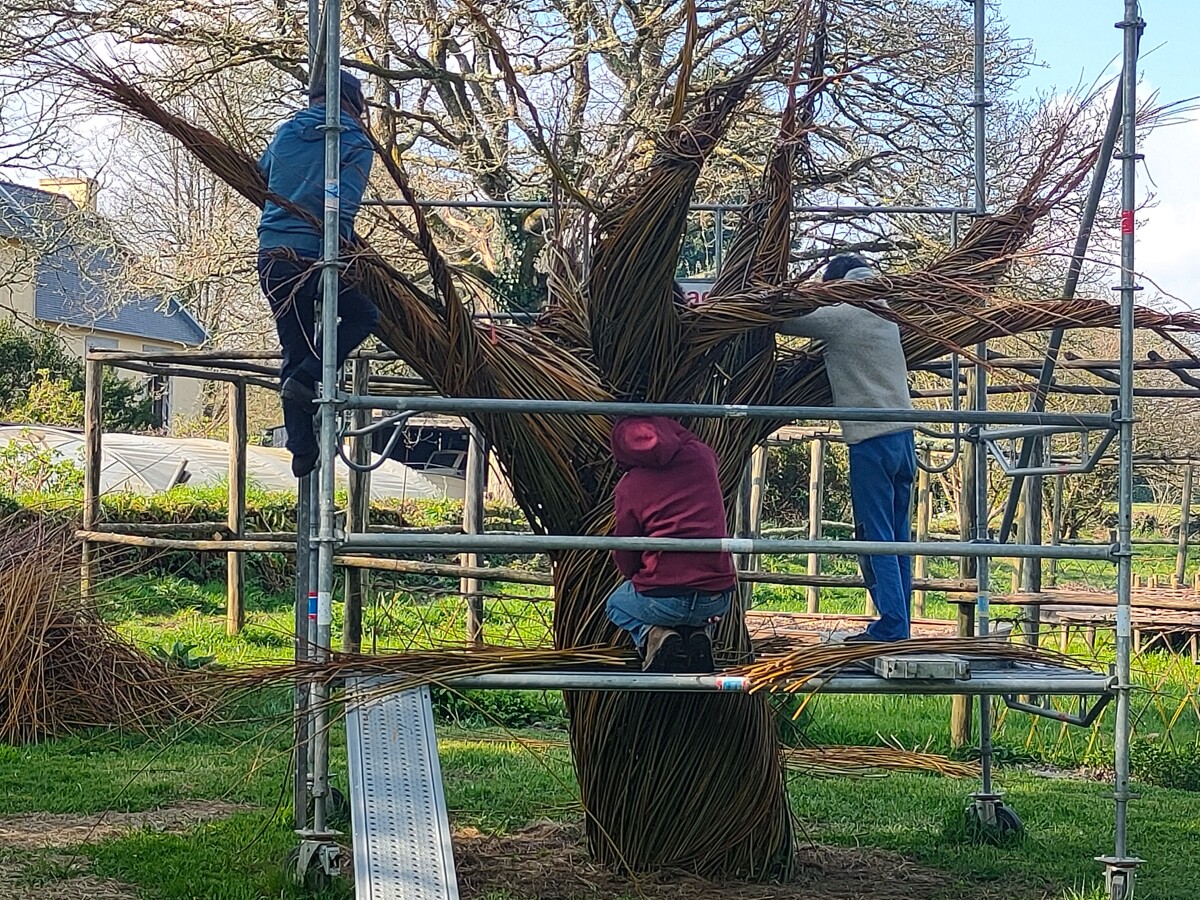 Abbaye du Relec - Projet Art'bre - Fin avril - Fabrication de l'arbre
