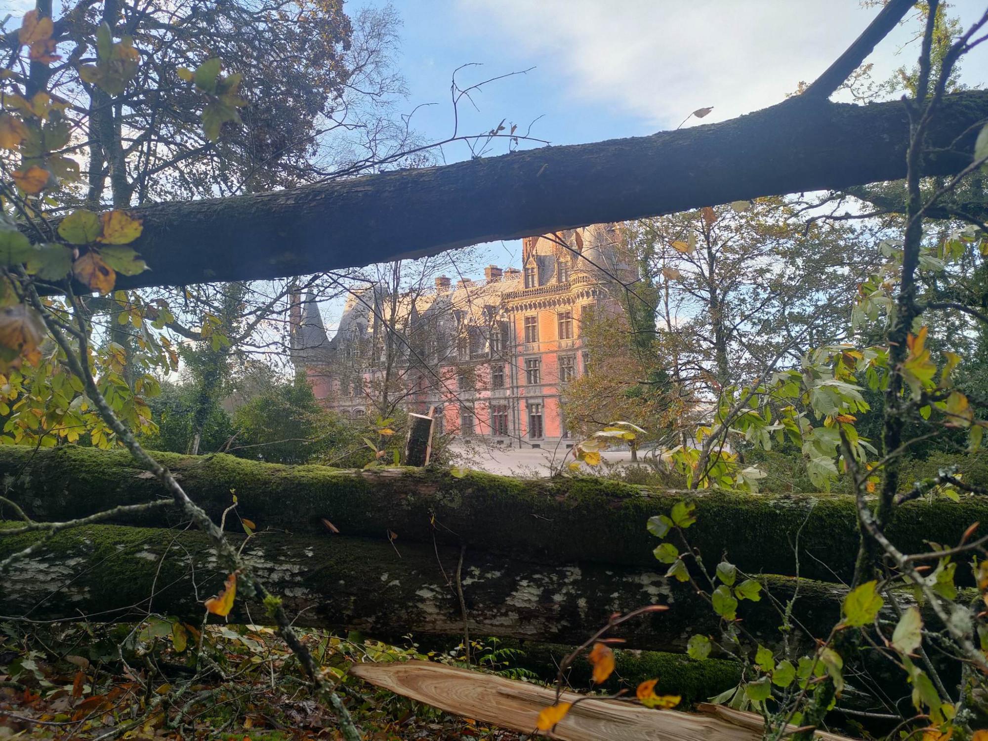 Domaine de Trévarez - Tempête Ciaran 1