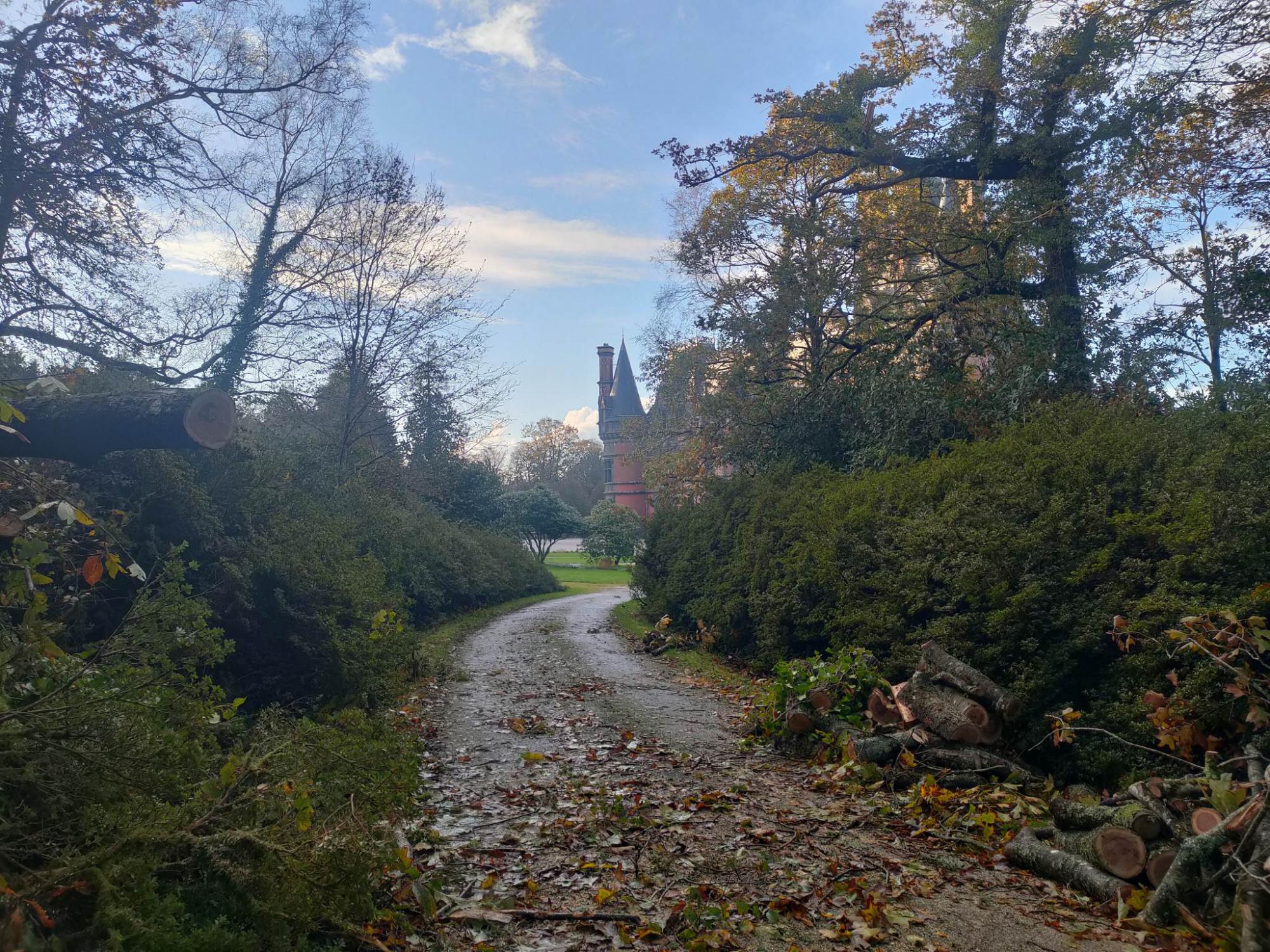 Domaine de Trévarez - Tempête Ciaran 2