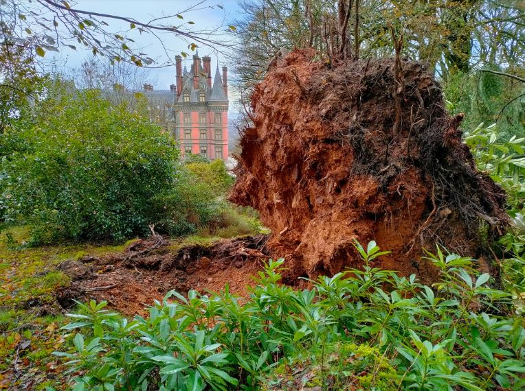 Domaine de Trévarez - Tempête Ciaran 3