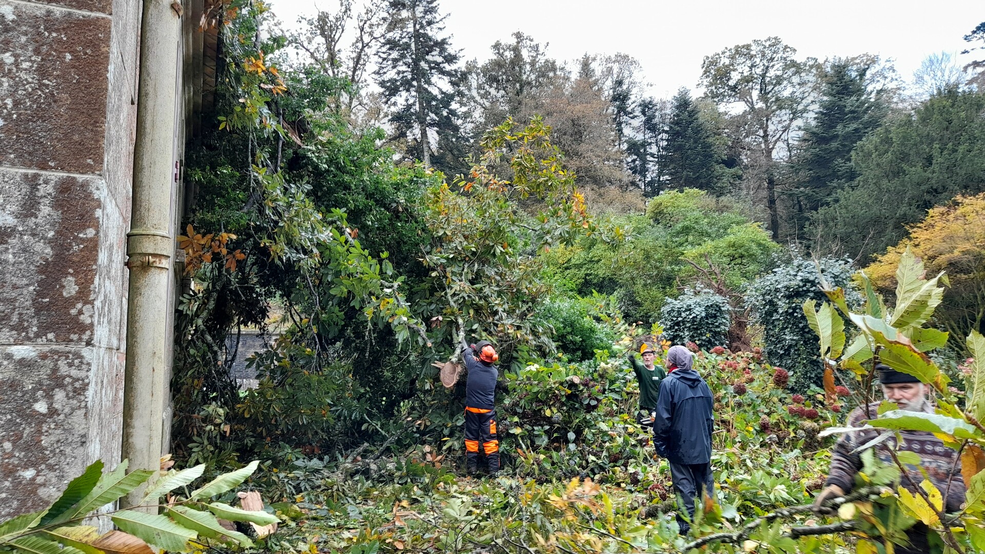 Domaine de Trévarez - Tempête Ciaran 4